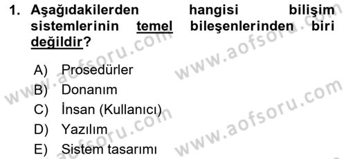 Bilişim Sistemleri Dersi 2024 - 2025 Yılı Yaz Okulu Sınav Soruları 1. Soru
