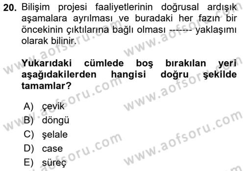 Bilişim Sistemleri Dersi 2024 - 2025 Yılı Yaz Okulu Sınav Soruları 20. Soru