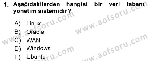 Bilişim Sistemleri Dersi 2025 - 2026 Yılı (Vize) Ara Sınav Soruları 1. Soru