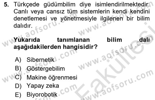 Bilişim Sistemleri Dersi 2025 - 2026 Yılı (Vize) Ara Sınav Soruları 5. Soru