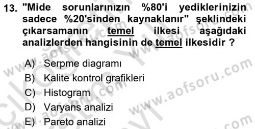 İş Süreçleri Yönetimi Dersi 2024 - 2025 Yılı Yaz Okulu Sınav Soruları 13. Soru