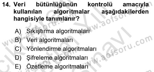 Ağ Yönetimi Ve Bilgi Güvenliği Dersi 2025 - 2026 Yılı (Vize) Ara Sınav Soruları 14. Soru