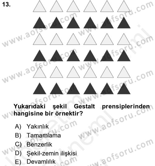 Kullanıcı Deneyimi Tasarımı Dersi 2016 - 2017 Yılı (Final) Dönem Sonu Sınav Soruları 13. Soru