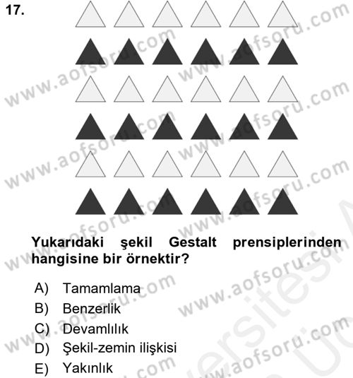 Kullanıcı Deneyimi Tasarımı Dersi 2017 - 2018 Yılı 3 Ders Sınav Soruları 17. Soru