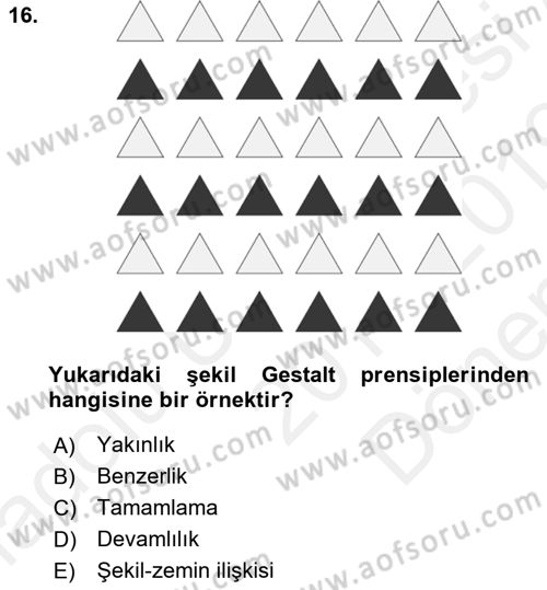 Kullanıcı Deneyimi Tasarımı Dersi 2018 - 2019 Yılı (Final) Dönem Sonu Sınavı 16. Soru