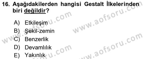 Kullanıcı Deneyimi Tasarımı Dersi 2019 - 2020 Yılı (Final) Dönem Sonu Sınav Soruları 16. Soru