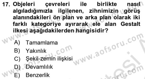 Kullanıcı Deneyimi Tasarımı Dersi 2021 - 2022 Yılı Yaz Okulu Sınav Soruları 17. Soru