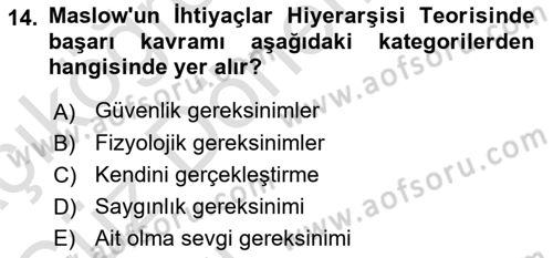Kullanıcı Deneyimi Tasarımı Dersi Ara Sınavı Deneme Sınav Soruları 14. Soru