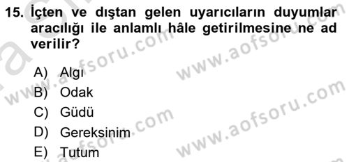 Kullanıcı Deneyimi Tasarımı Dersi Ara Sınavı Deneme Sınav Soruları 15. Soru