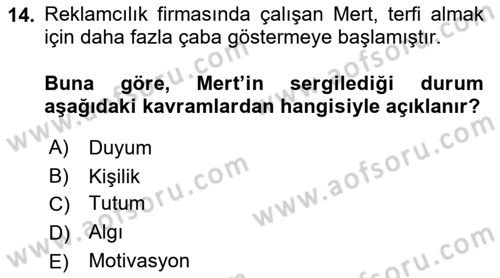 Kullanıcı Deneyimi Tasarımı Dersi Ara Sınavı Deneme Sınav Soruları 14. Soru