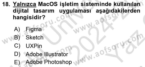 Kullanıcı Deneyimi Tasarımı Dersi 2024 - 2025 Yılı Yaz Okulu Sınav Soruları 18. Soru