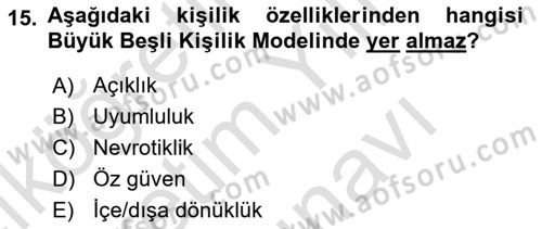 Kullanıcı Deneyimi Tasarımı Dersi 2025 - 2026 Yılı (Vize) Ara Sınav Soruları 15. Soru