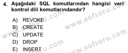 Veritabanı Programlama Dersi 2023 - 2024 Yılı (Vize) Ara Sınav Soruları 4. Soru