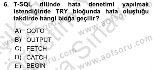 Veritabanı Programlama Dersi 2023 - 2024 Yılı (Vize) Ara Sınavı 6. Soru