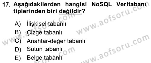 Veritabanı Programlama Dersi 2023 - 2024 Yılı (Final) Dönem Sonu Sınav Soruları 17. Soru