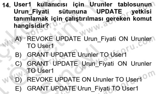 Veritabanı Programlama Dersi 2023 - 2024 Yılı Yaz Okulu Sınavı 14. Soru