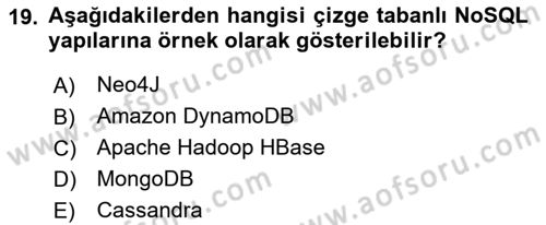 Veritabanı Programlama Dersi 2023 - 2024 Yılı Yaz Okulu Sınavı 19. Soru