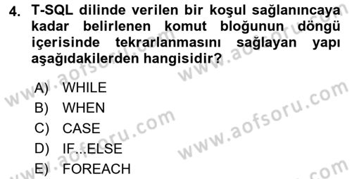 Veritabanı Programlama Dersi 2023 - 2024 Yılı Yaz Okulu Sınavı 4. Soru