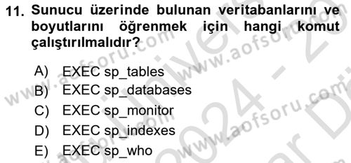 Veritabanı Programlama Dersi 2024 - 2025 Yılı (Vize) Ara Sınav Soruları 11. Soru