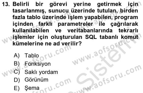 Veritabanı Programlama Dersi 2024 - 2025 Yılı (Vize) Ara Sınav Soruları 13. Soru