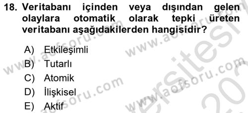 Veritabanı Programlama Dersi 2024 - 2025 Yılı (Vize) Ara Sınav Soruları 18. Soru