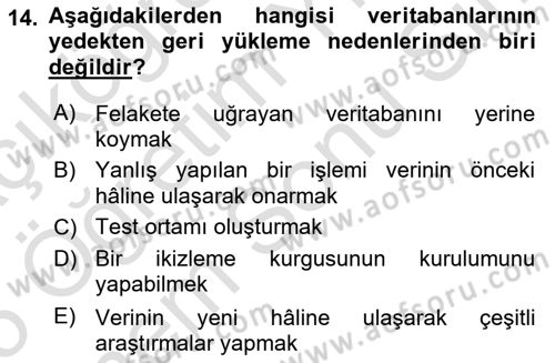 Veritabanı Programlama Dersi 2024 - 2025 Yılı (Final) Dönem Sonu Sınav Soruları 14. Soru