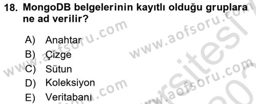 Veritabanı Programlama Dersi 2024 - 2025 Yılı (Final) Dönem Sonu Sınav Soruları 18. Soru