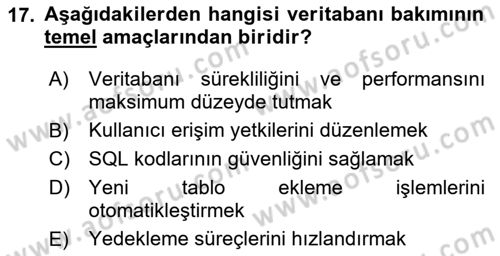 Veritabanı Programlama Dersi 2024 - 2025 Yılı Yaz Okulu Sınav Soruları 17. Soru