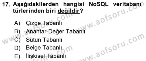 Veritabanı Programlama Dersi 2025 - 2026 Yılı (Final) Dönem Sonu Sınav Soruları 17. Soru