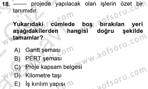 Sistem Analizi Ve Tasarımı Dersi Ara Sınavı Deneme Sınav Soruları 18. Soru
