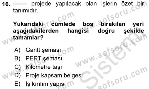 Sistem Analizi Ve Tasarımı Dersi Ara Sınavı Deneme Sınav Soruları 16. Soru