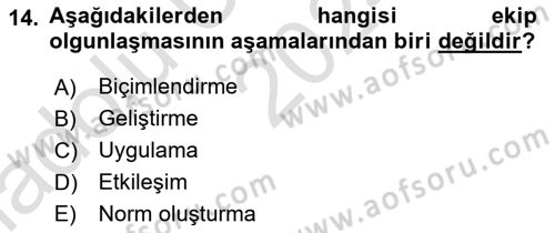 Sistem Analizi Ve Tasarımı Dersi 2024 - 2025 Yılı (Vize) Ara Sınav Soruları 14. Soru