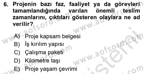 Sistem Analizi Ve Tasarımı Dersi 2024 - 2025 Yılı Yaz Okulu Sınav Soruları 6. Soru