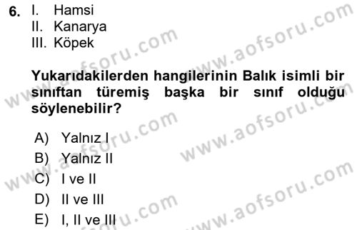 İleri Programlama Dersi 2018 - 2019 Yılı (Final) Dönem Sonu Sınav Soruları 6. Soru