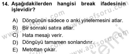 İleri Programlama Dersi 2024 - 2025 Yılı (Vize) Ara Sınav Soruları 14. Soru