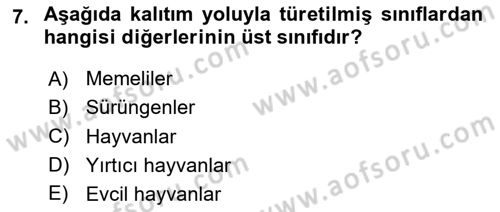 İleri Programlama Dersi 2024 - 2025 Yılı (Final) Dönem Sonu Sınav Soruları 7. Soru