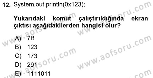 İleri Programlama Dersi 2025 - 2026 Yılı (Vize) Ara Sınav Soruları 12. Soru