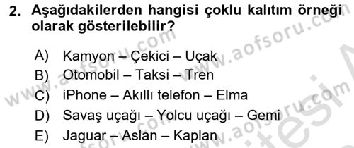 İleri Programlama Dersi 2025 - 2026 Yılı (Vize) Ara Sınav Soruları 2. Soru