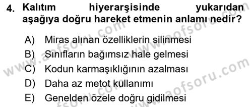 İleri Programlama Dersi 2025 - 2026 Yılı (Vize) Ara Sınav Soruları 4. Soru