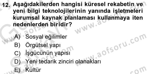 Kurumsal Kaynak Planlama Sistemleri Dersi 2019 - 2020 Yılı (Vize) Ara Sınav Soruları 12. Soru