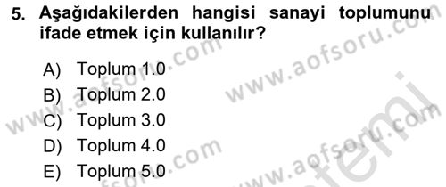 Kurumsal Kaynak Planlama Sistemleri Dersi 2023 - 2024 Yılı (Vize) Ara Sınav Soruları 5. Soru