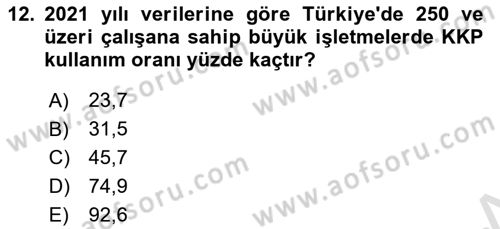 Kurumsal Kaynak Planlama Sistemleri Dersi 2024 - 2025 Yılı (Vize) Ara Sınavı 12. Soru