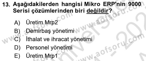 Kurumsal Kaynak Planlama Sistemleri Dersi 2024 - 2025 Yılı (Vize) Ara Sınavı 13. Soru