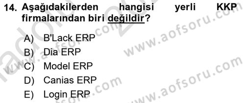 Kurumsal Kaynak Planlama Sistemleri Dersi 2024 - 2025 Yılı (Vize) Ara Sınavı 14. Soru