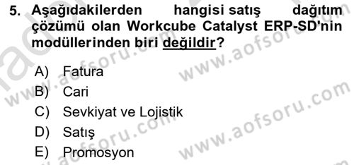 Kurumsal Kaynak Planlama Sistemleri Dersi 2024 - 2025 Yılı Yaz Okulu Sınav Soruları 5. Soru
