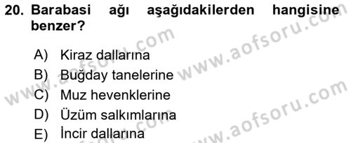 Sosyal Ağ Analizi Dersi 2017 - 2018 Yılı (Vize) Ara Sınav Soruları 20. Soru
