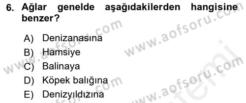 Sosyal Ağ Analizi Dersi 2018 - 2019 Yılı (Final) Dönem Sonu Sınav Soruları 6. Soru