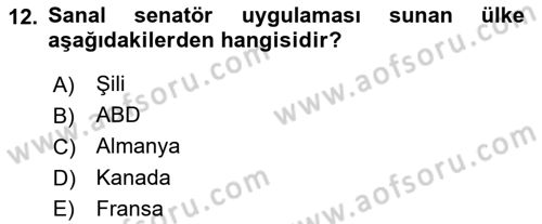 Bilgi Toplumu Ve E-Devlet Dersi Ara Sınavı Deneme Sınav Soruları 12. Soru