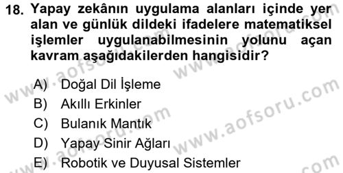Karar Destek Sistemleri Dersi 2018 - 2019 Yılı (Final) Dönem Sonu Sınav Soruları 18. Soru