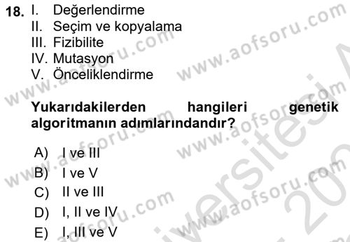 Karar Destek Sistemleri Dersi 2020 - 2021 Yılı Yaz Okulu Sınav Soruları 18. Soru